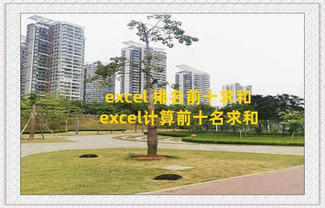 excel 排名前十求和 excel计算前十名求和